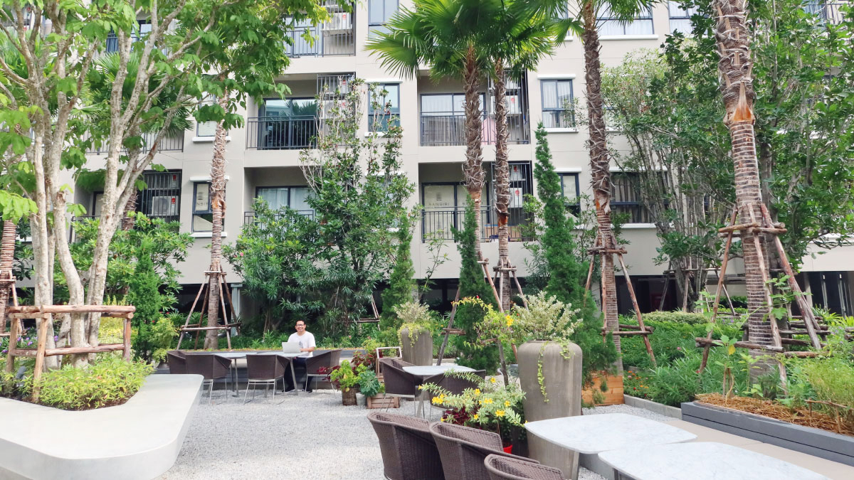 ภาพ SEO Freelancer นั่งทำงานที่ La Casita หัวหิน